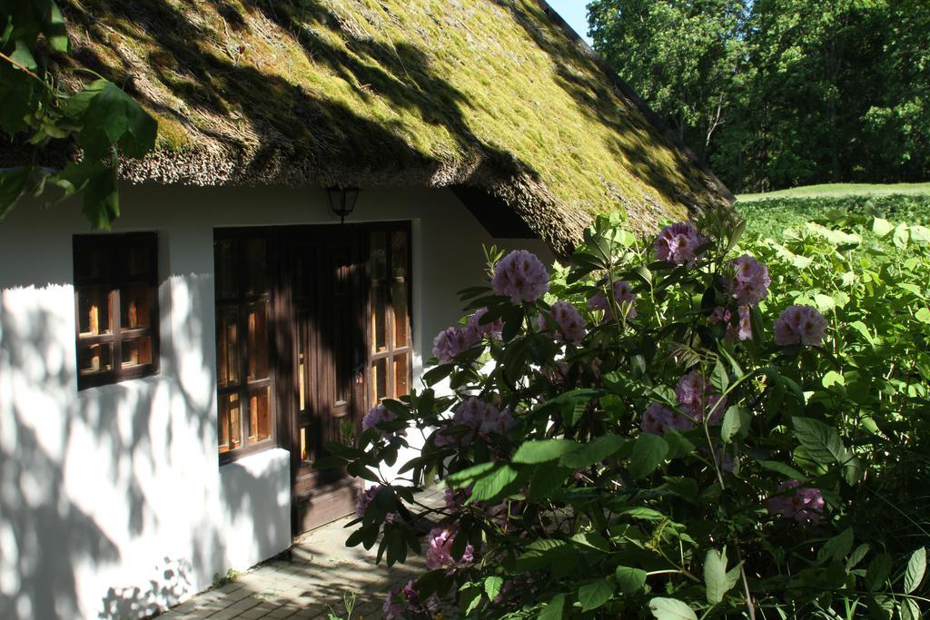 Denderi Villa Rubene ห้อง รูปภาพ